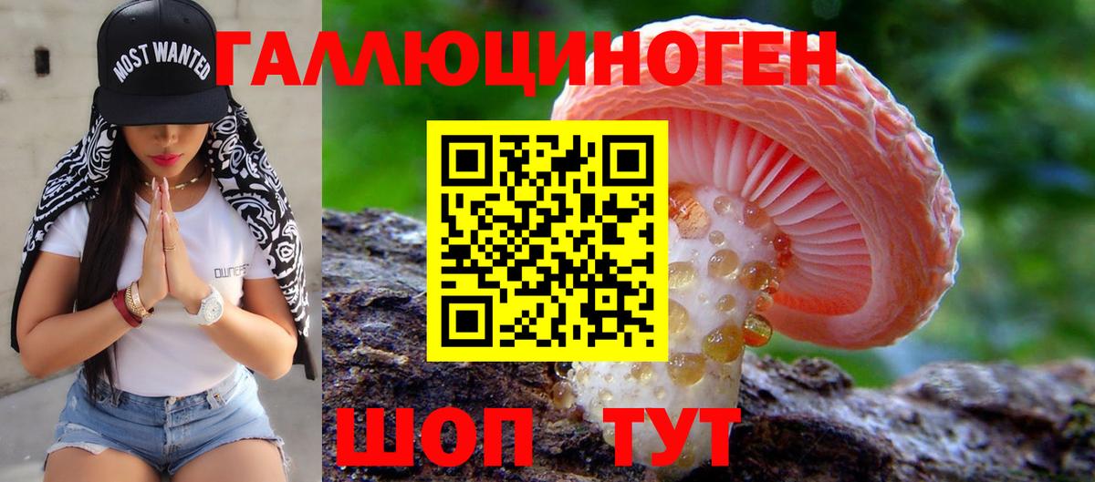 Псилоцибиновые грибы мухоморы Протвино