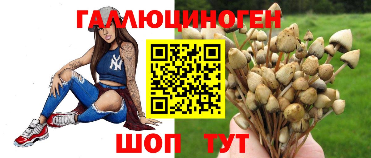 Протвино  Галлюциногенные грибы Psilocybine cubensis  где купить   Вход с VPN 